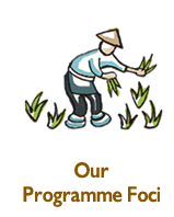 Programme Foci Programme Foci