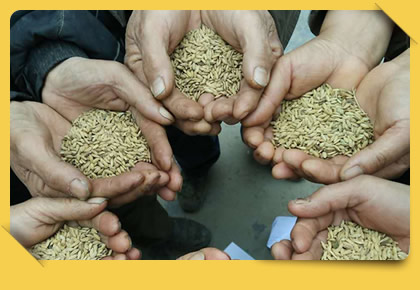 Ecological Farming Stops Pollution at the Source of Rivers