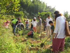 社區支持農業鼓勵了城鄉互動。