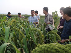 北京有機農夫市集安排消費者參觀農場的生態種植法。