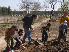 社區伙伴支持的城市農耕教育活動，大人和小孩一起翻地春耕。