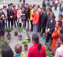 大理的旅游业和房地产正在如火如荼的发展