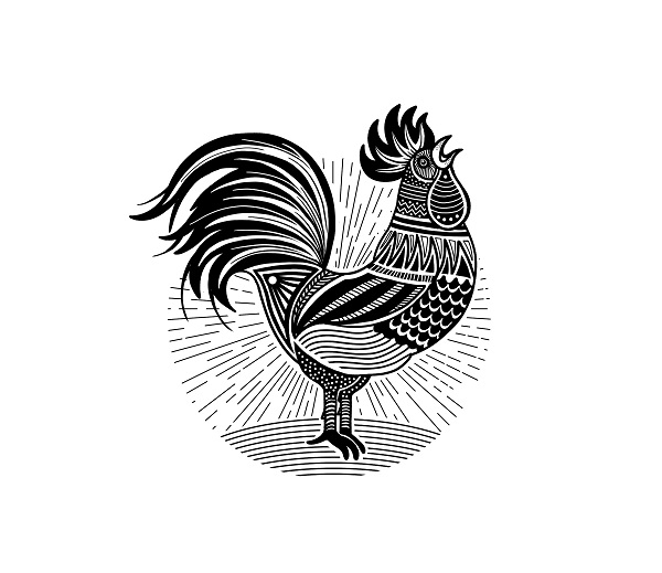 鸡