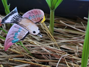 The birds that the children have made look for insects for food
