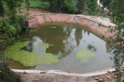 The repaired pond is located at the very end of the wetland and is used to raise fish in an ecological manner.