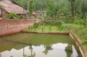 The biological wastewater purifying and treatment system.