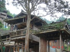 PCD supports Miao youngsters to learn about their traditional culture and traditional architecture is part of the learning.