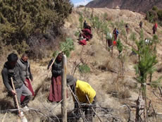 Various aspects of programme work in Tibetan communities of Deqin