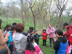 Affective Nature Education activities