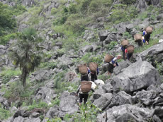 Ecological restoration of the soil-denuded areas in Mashan.