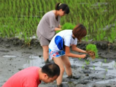 社区伙伴的青年培养项目鼓励农村青年由城市返乡参与务农，以重建中国农村的活力。