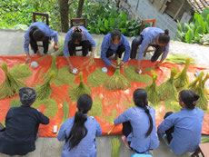 Conserving Seeds of Old Crop Varieties Amid the Abundance of Green