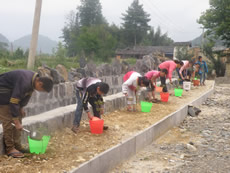 Tree Planting and Conservation