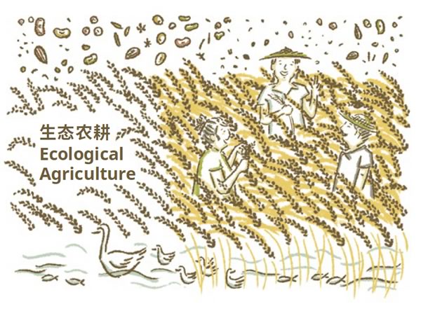 Ecological Agriculture
